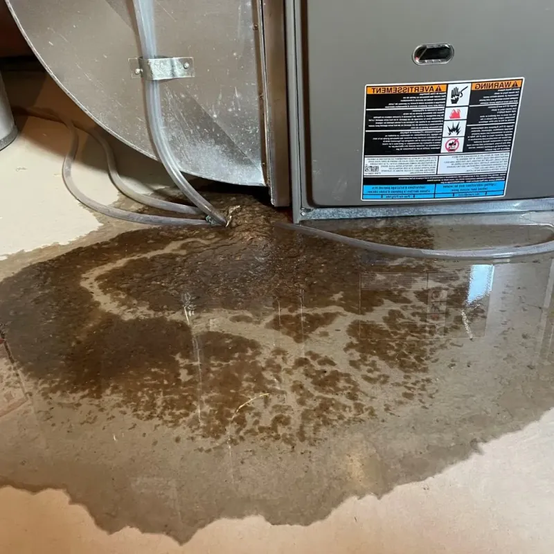 Pipe Burst and Leak Restoration in Holland, NY