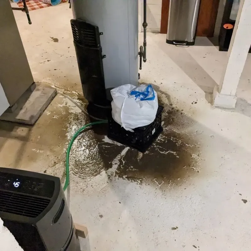 Sewage Backup Cleanup Service in Holland, NY